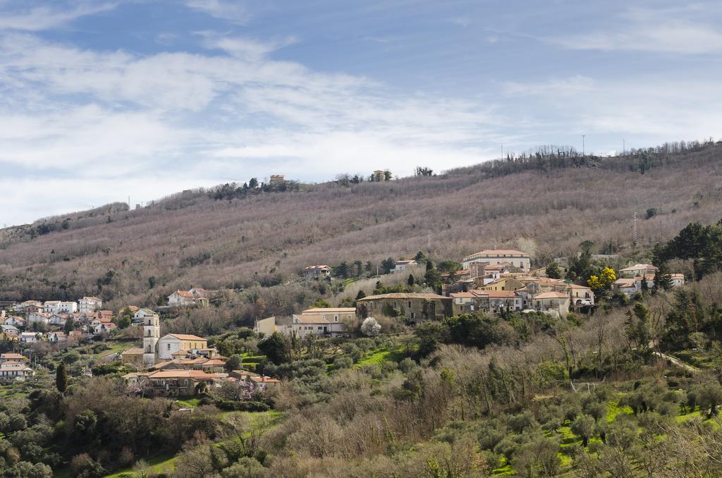Al Casale Dei Nonni Bed & Breakfast Laureana Cilento Екстериор снимка