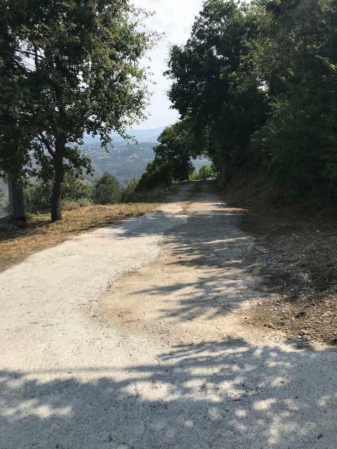 Al Casale Dei Nonni Bed & Breakfast Laureana Cilento Екстериор снимка